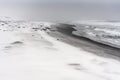 Blizzard on a beach of the Pacific ocean with black sand Royalty Free Stock Photo