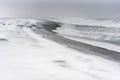 Blizzard on a beach of the Pacific ocean with black sand Royalty Free Stock Photo