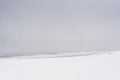 Blizzard on a beach of the Pacific ocean Royalty Free Stock Photo