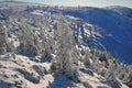 After heavy snow and wind in Gutai Mountains,Romania Royalty Free Stock Photo