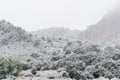 Blizzard at garden of the gods colorado springs rocky mountains during winter covered in snow Royalty Free Stock Photo