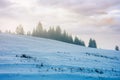 blizzard in mountains. magic scenery with clouds and fog on a sunny winter morning Royalty Free Stock Photo
