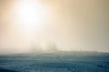 Blizzard in mountains. magic scenery with clouds and fog on a sunny winter morning. trees in mist on a snow covered meadow