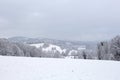 Blizzard in mountains. magic scenery with clouds and fog on a sunny winter morning. trees in mist on a snow covered meadow. cold