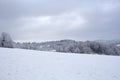 Blizzard in mountains. magic scenery with clouds and fog on a sunny winter morning. trees in mist on a snow covered meadow. cold Royalty Free Stock Photo