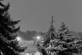 Blizzard. Winter night landscape. Pyatigorsk, Russia
