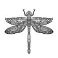 Bllack and white dragonfly in mandala style. Stylized insect. Boho vector illustration. Ethnic pattern.