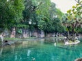 A bloat Hippopotamus at a zoo in a pond