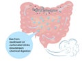 Bloating and excess gas in intestine