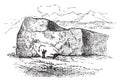 Bloc erratic of the Alps, deposited by an ancient glacier, vintage engraving