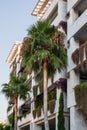 Block full of greenery with palm trees in front