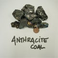 Anthracite coal hand samples with penny