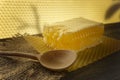 Block of natural honey comb with wooden spoon Royalty Free Stock Photo