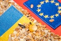 Blockade of grain from Ukraine, Import of Ukrainian grain by the European Union, Concept, Farmers problems, Agricultural product