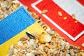 Blockade of grain from Ukraine, Ukrainian grain in Poland, Problem of Polish farmers, Flooding of the market with various types of