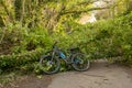 Blocked Cycle path with fallen trees on Hadrians Cycleway - Route 72 after storm Corrie. With large mountain e-bike