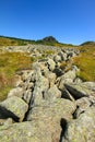 Blockfield dated from the last Ice Age in Beigua National Geopark Royalty Free Stock Photo