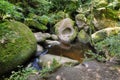 The Blockfield of the forest of Huelgoat