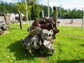 Blockhaus dÃÂ´Eperleques, airplane engine wreck