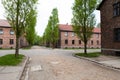 Blocks from Auschwitz concentration camp complex Royalty Free Stock Photo