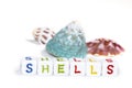 Blocks with colorful shells text also real shells behind