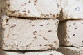 Blocks of halvah with raisins Royalty Free Stock Photo