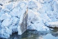 Blocks of ice floes float on the river. The beginning of the ice drift. Royalty Free Stock Photo