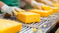 blocks of yellow cheese on a conveyor belt with wrkers in the background Royalty Free Stock Photo