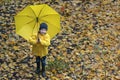 Blod boy with large yellow umbrella and raincoat on a background of yellow autumn foliage. Top view Royalty Free Stock Photo