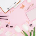 Blogger concept with copy space. Frame with tulips flowers, clipboard and clips on pink background. Flat lay, top view Royalty Free Stock Photo