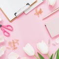 Blogger concept with copy space. Frame with tulips flowers, scissors and clipboard, clips on pink background. Flat lay, top view. Royalty Free Stock Photo