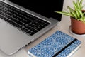 Blogging workspace: laptop, plant and notebook