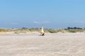 Blokart wind buggy enjoying a windy day on the Wadden Sea island beaches of western Denmark