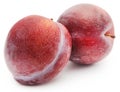 Blommer the finest Dansih plum Royalty Free Stock Photo