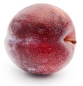 Blommer the finest Dansih plum Royalty Free Stock Photo