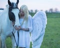 Blond angel looking after the horse Royalty Free Stock Photo