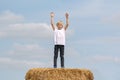 Blond boy with hands up on blue sky background. Cute schoolboy stays on large haystack in field . Vertical frame