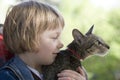 Blond boy with oriental bred cat Royalty Free Stock Photo