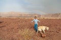Blond boy plaing with big dog under rainbow in desert, T