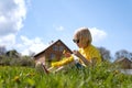 Blond boy sits in the grass and weaves wreath of dandelions. Child rests countryside during summer holidays Royalty Free Stock Photo