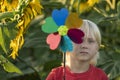 Blond boy walks in sunflower field and holds windmill toy in his hands Royalty Free Stock Photo