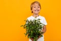Blond european boy with leafy pot plant on orange background