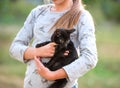 Blond girl holding little kitten Royalty Free Stock Photo