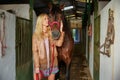 Blond girl holding horse at stable Royalty Free Stock Photo