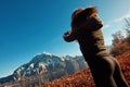 Blond girl is making picture of huge mountain and lake in the central of Europe by phone Royalty Free Stock Photo