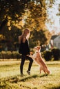 Blond girl train her dog border collie in green park in sunshine Royalty Free Stock Photo