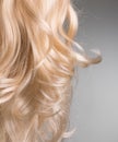 Blond Hair. Beautiful healthy long curly blonde hair close-up texture. Dyed Wavy white hair background, coloring, extensions