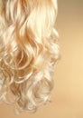 Blond Hair. Beautiful healthy long curly blonde hair close-up texture. Dyed Wavy white hair background, coloring, extensions