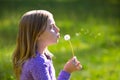 Blond kid girl blowing dandelion flower in green meadow Royalty Free Stock Photo