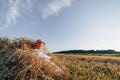 Blond little boy having fun jumping on hay in field. summer, sunny weather, farming. happy childhood. countryside Royalty Free Stock Photo